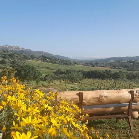 Apartamento Dependance Pavoncella Arzachena