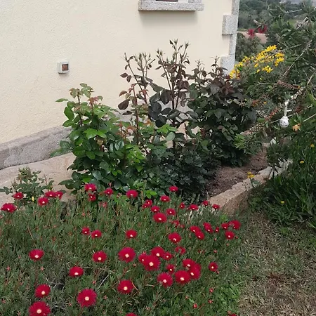 Apartment Dependance Stazzo Pavoncella Arzachena