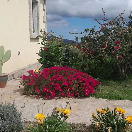 Apartament Dependance Pavoncella
