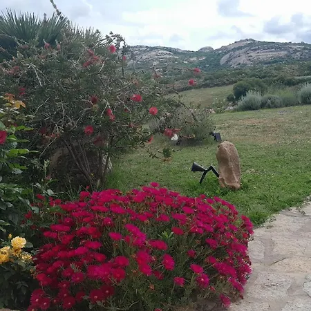 Dependance Pavoncella Appartement *