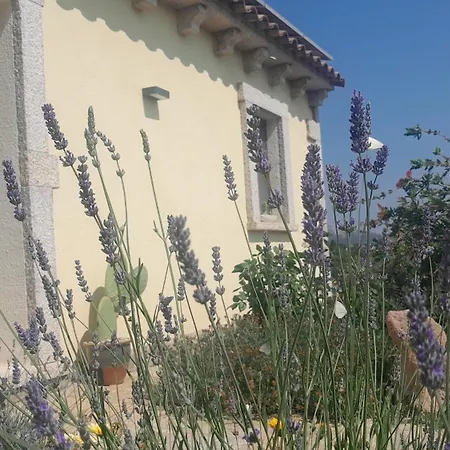 Dependance Pavoncella