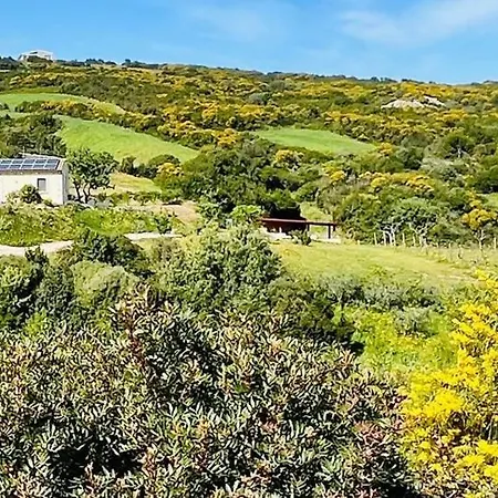 Apartman Dependance Pavoncella