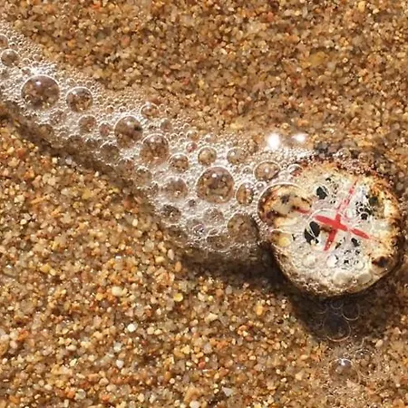 Dependance Pavoncella Appartement Arzachena