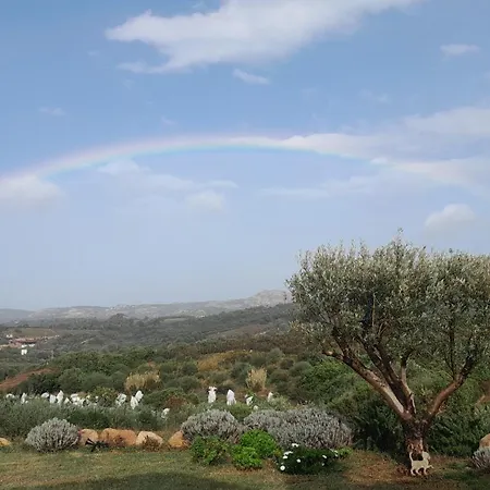 Dependance Pavoncella * Arzachena