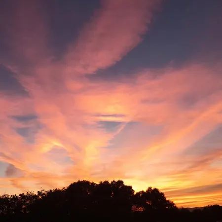 Dependance Pavoncella Apartman