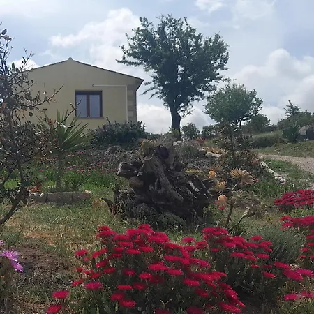 Dependance Pavoncella Appartement Arzachena