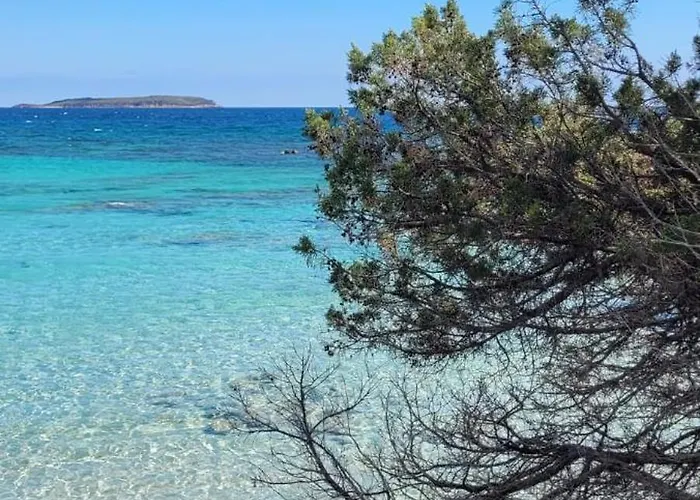 Dependance Pavoncella Arzachena